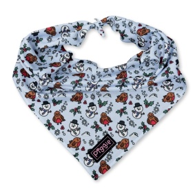 Mr Robin Dog Bandana